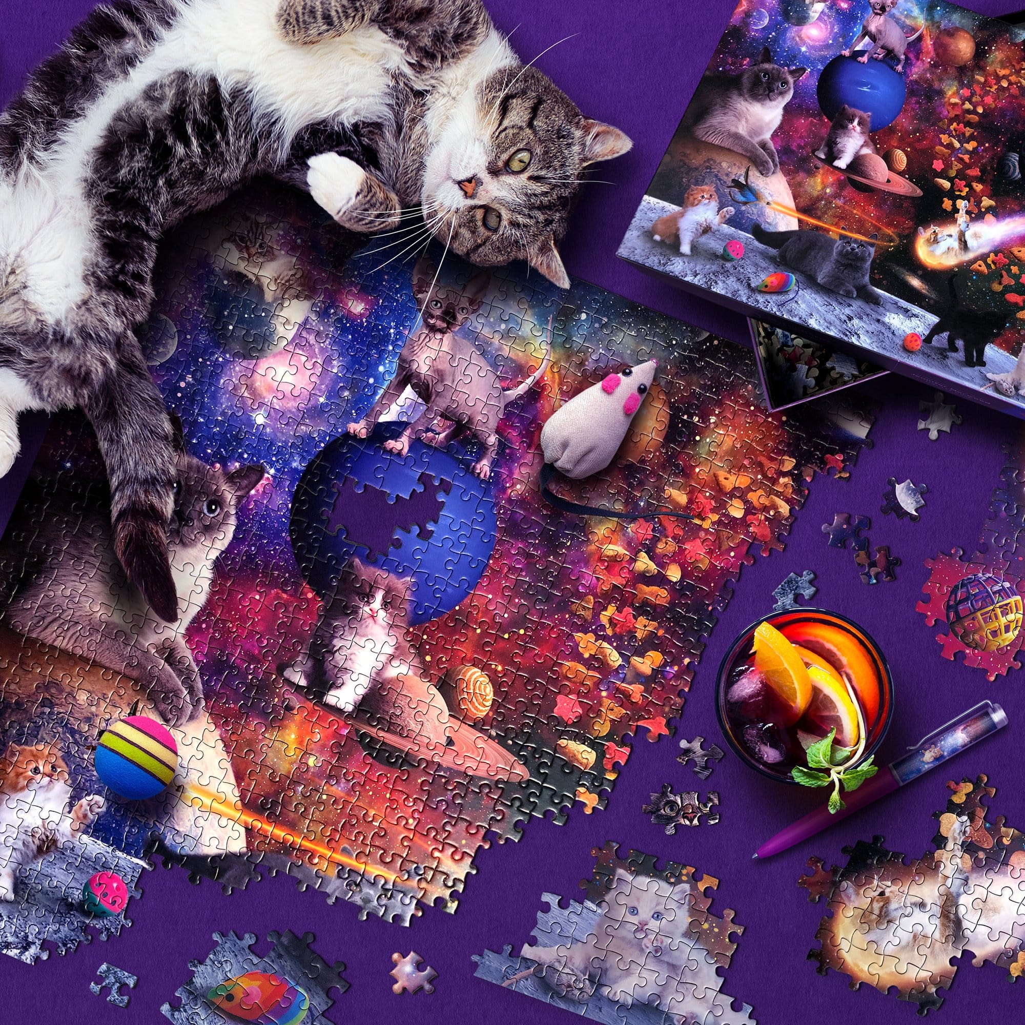 1000 PIECE PUZZLE: GALAXY CATS - Image 3