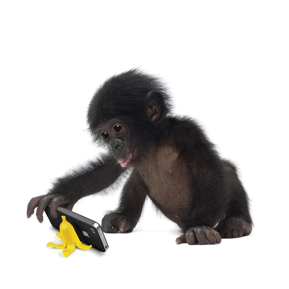 BANANA STAND - Image 4