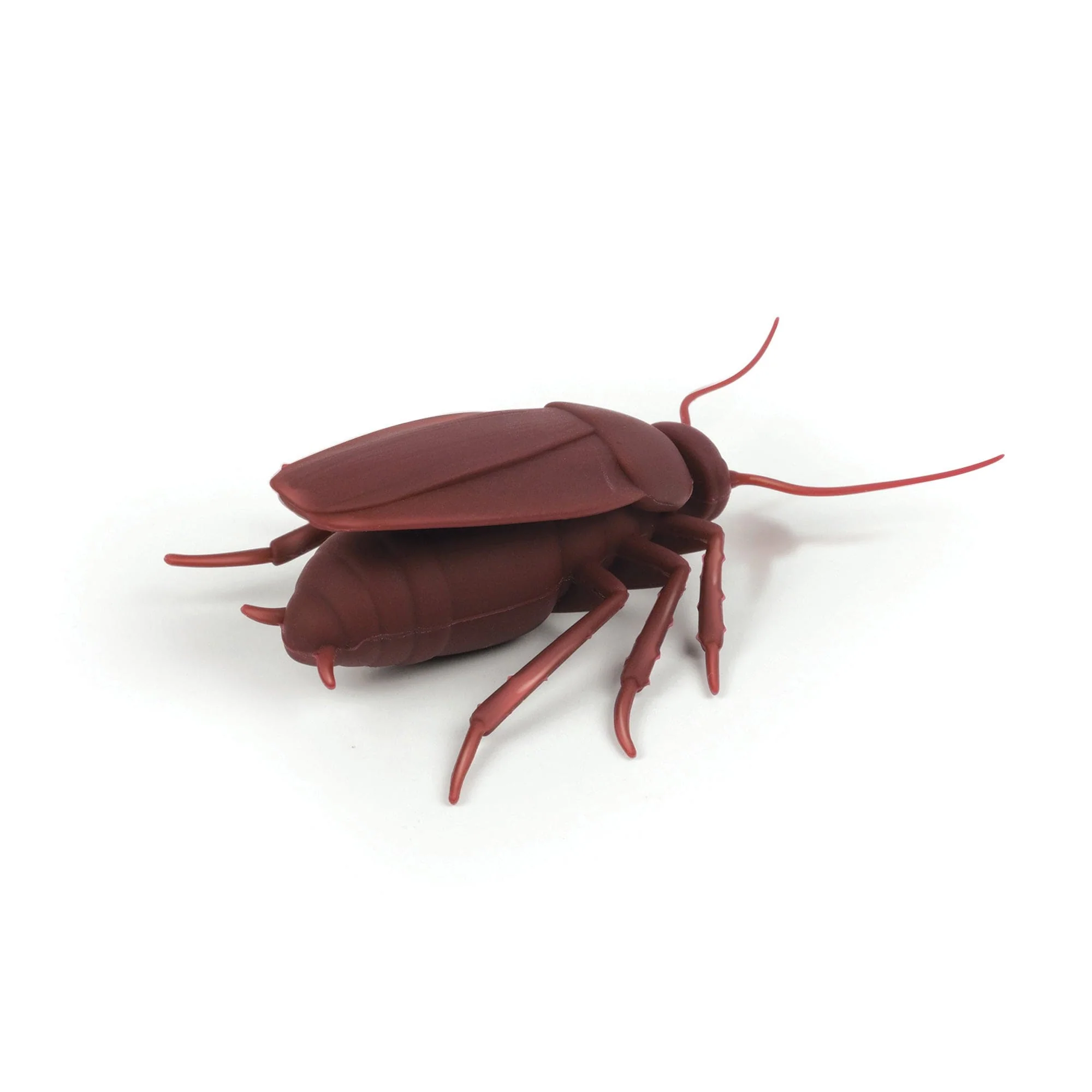CORKROACH - Image 4
