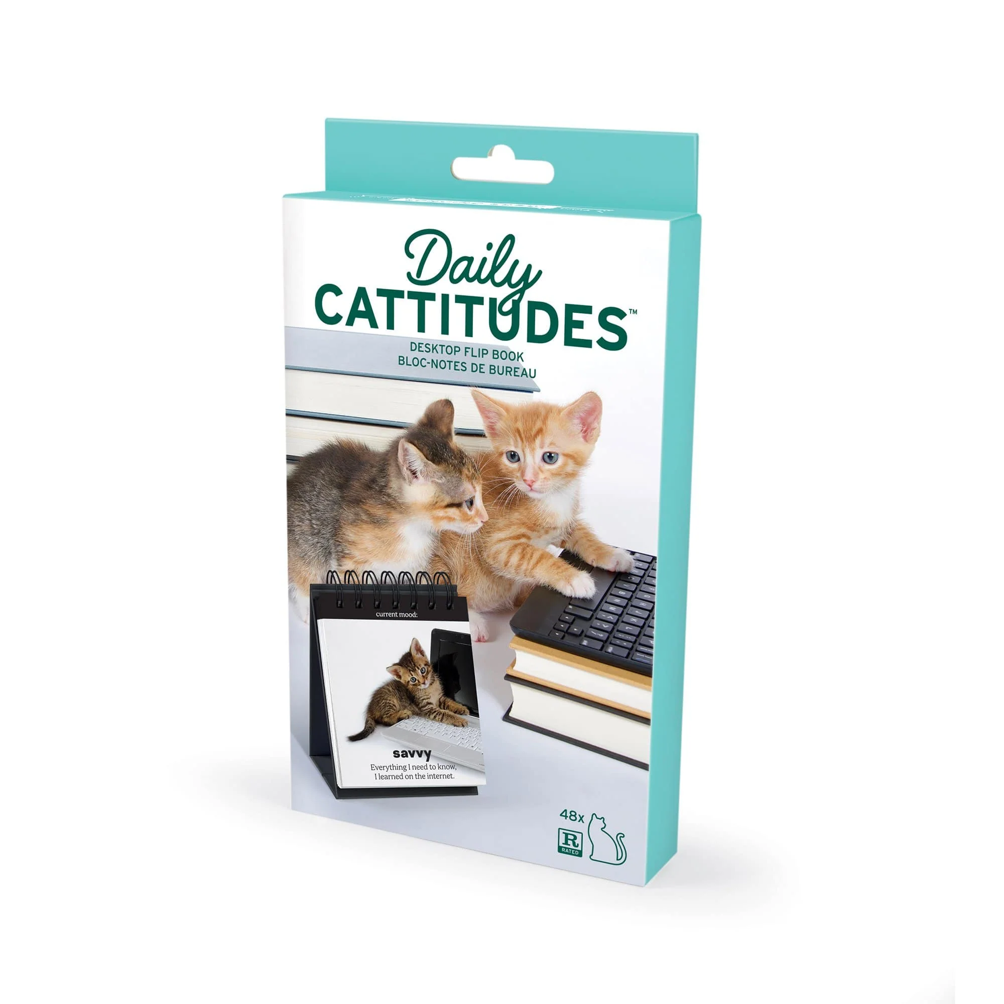 DAILY CATTITUDES - Image 6