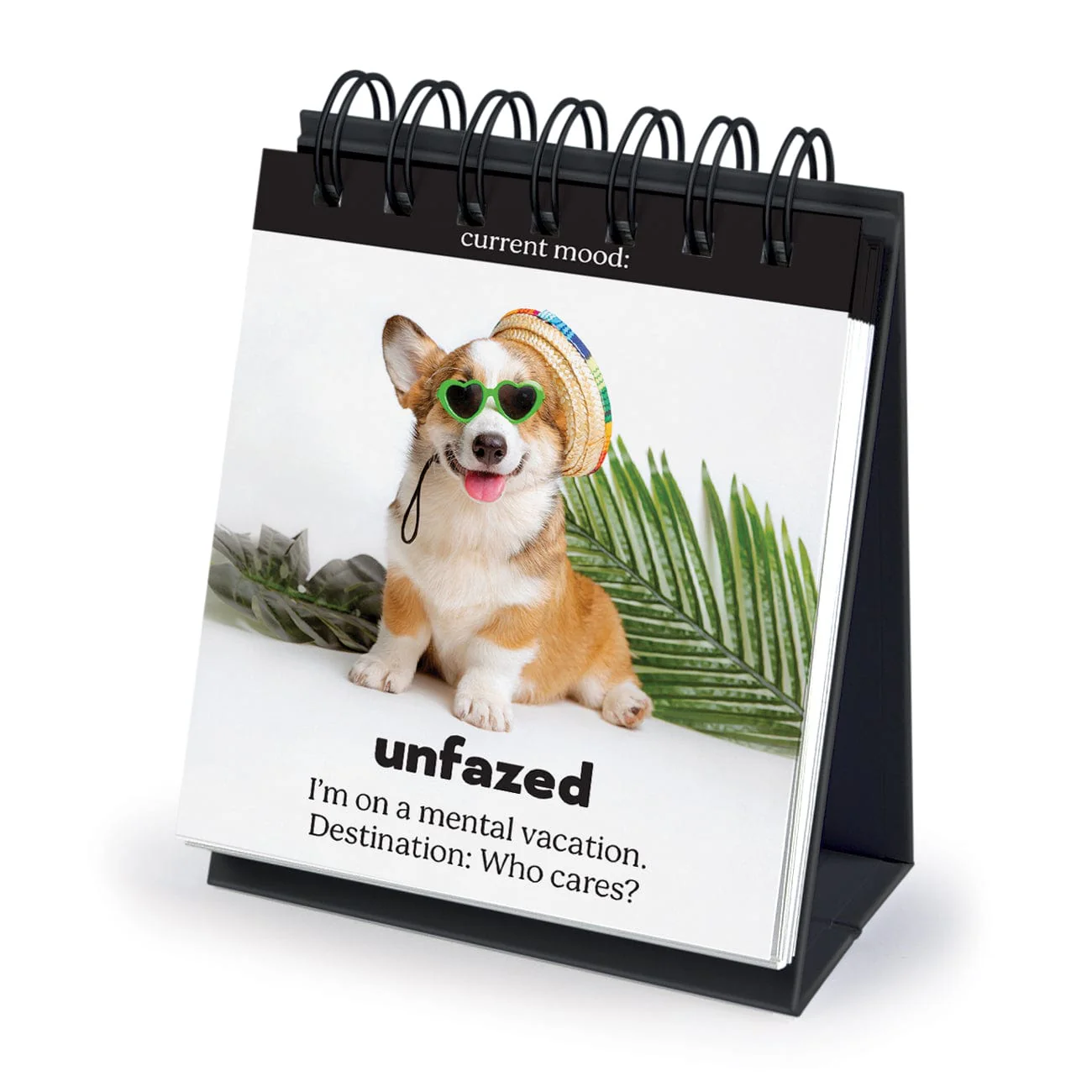 DAILY DOGGO - Image 5