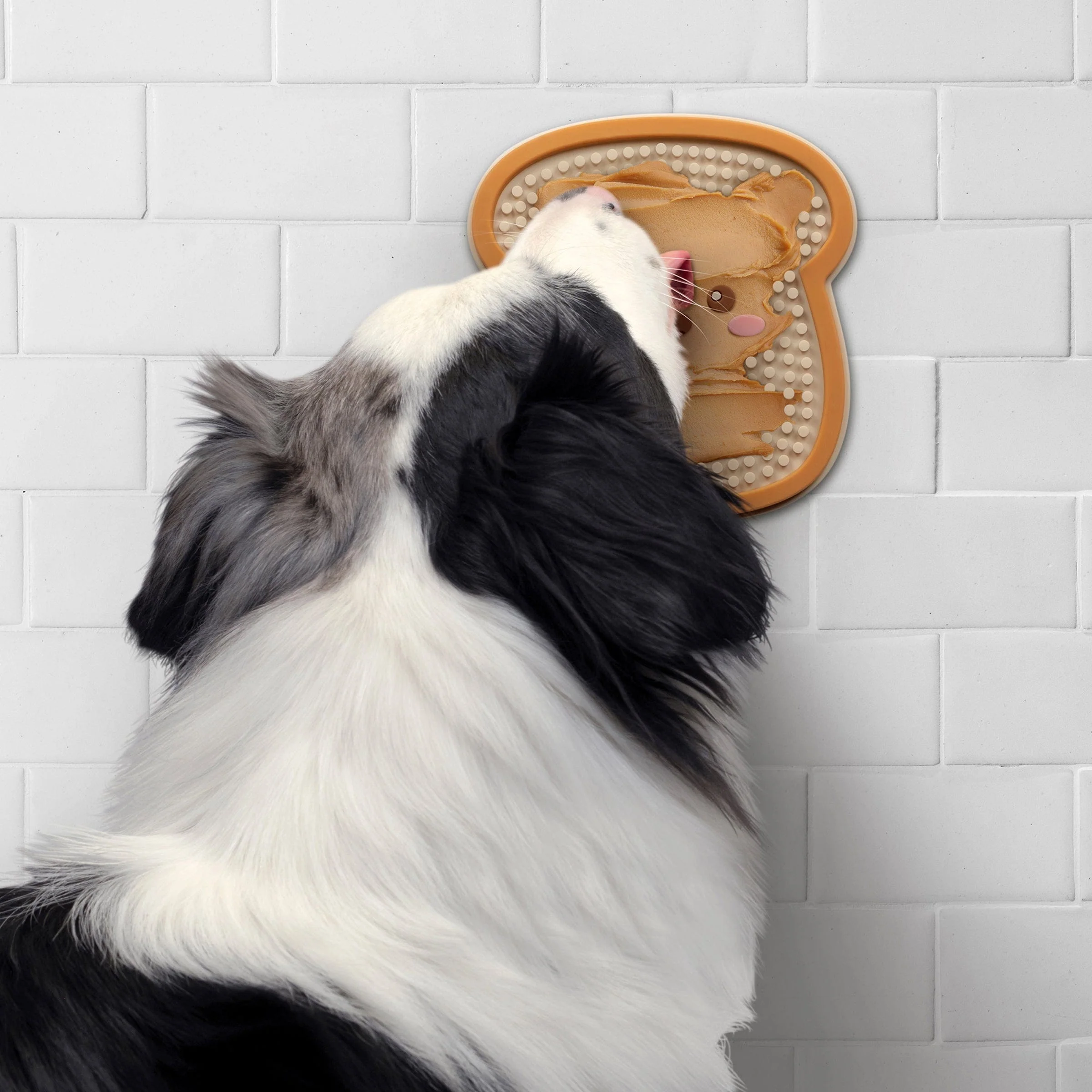 DISTRACT-O-MAT - Toast - Image 2