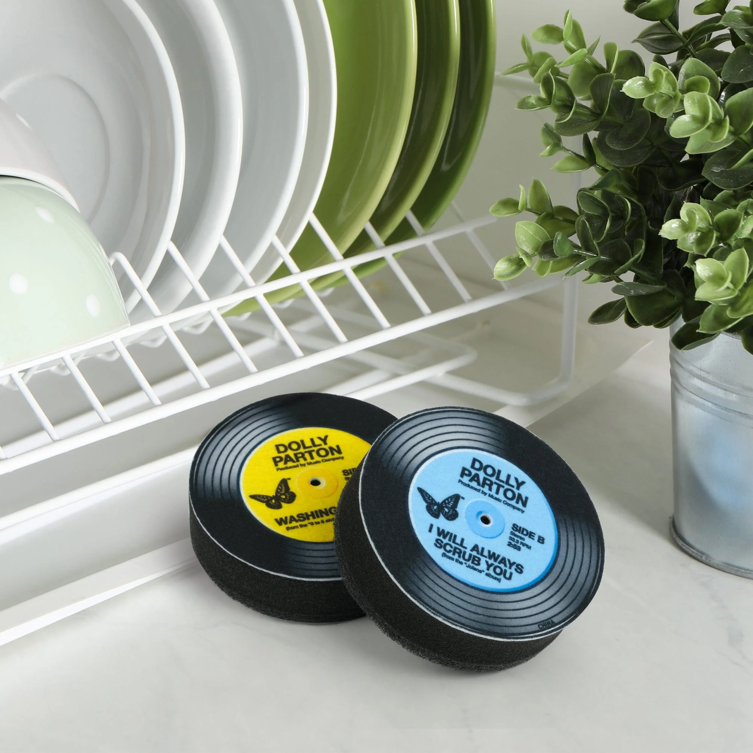 DOLLY RECORD SPONGES - Image 2