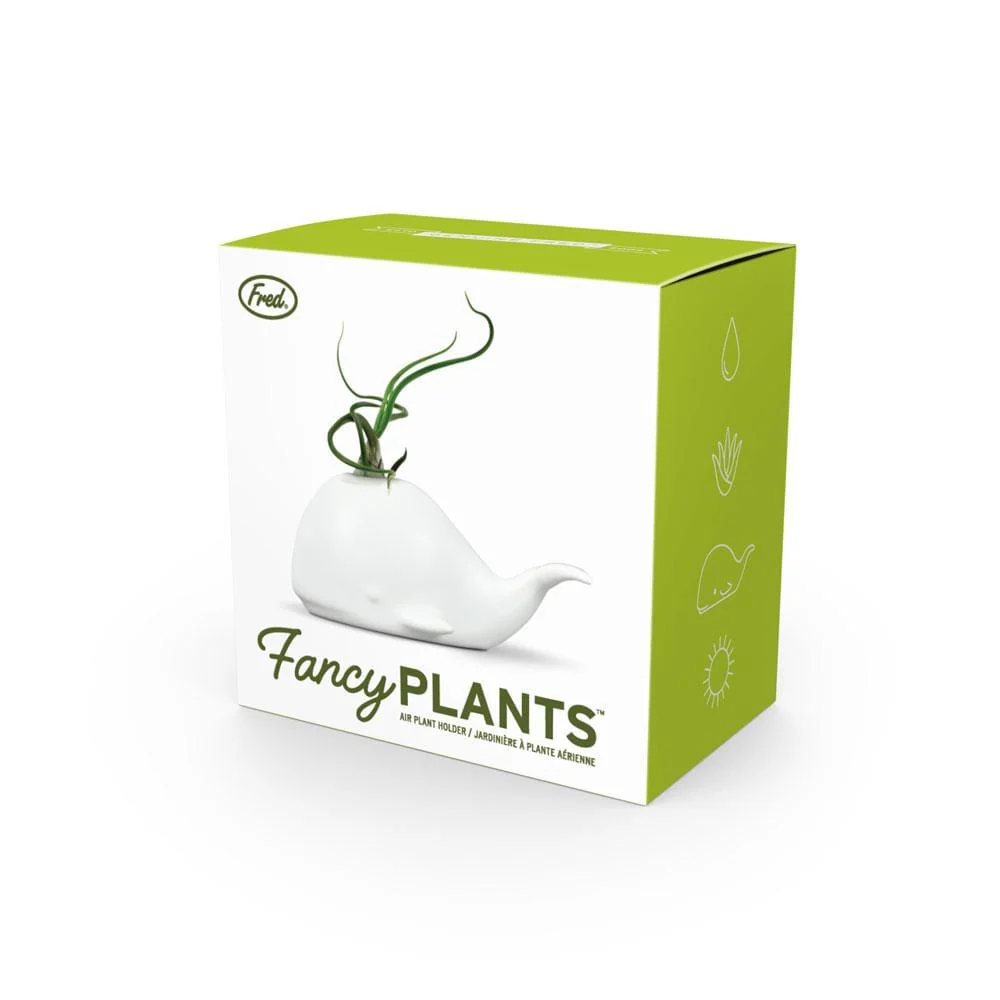 FANCY PLANTS - Whale - Image 6