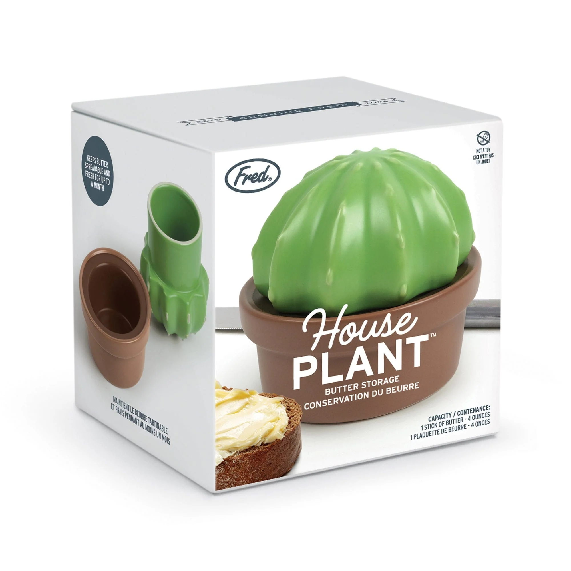 HOUSE PLANT - Image 10