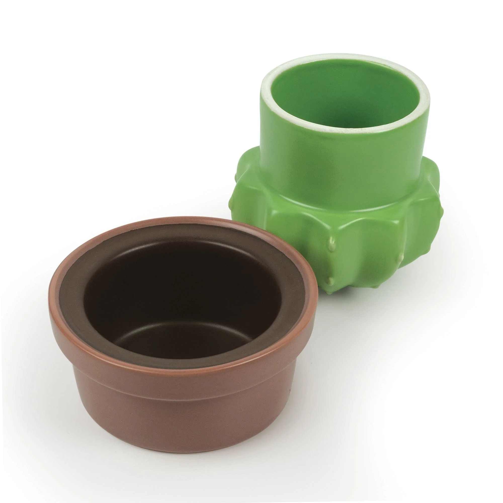 HOUSE PLANT - Image 4