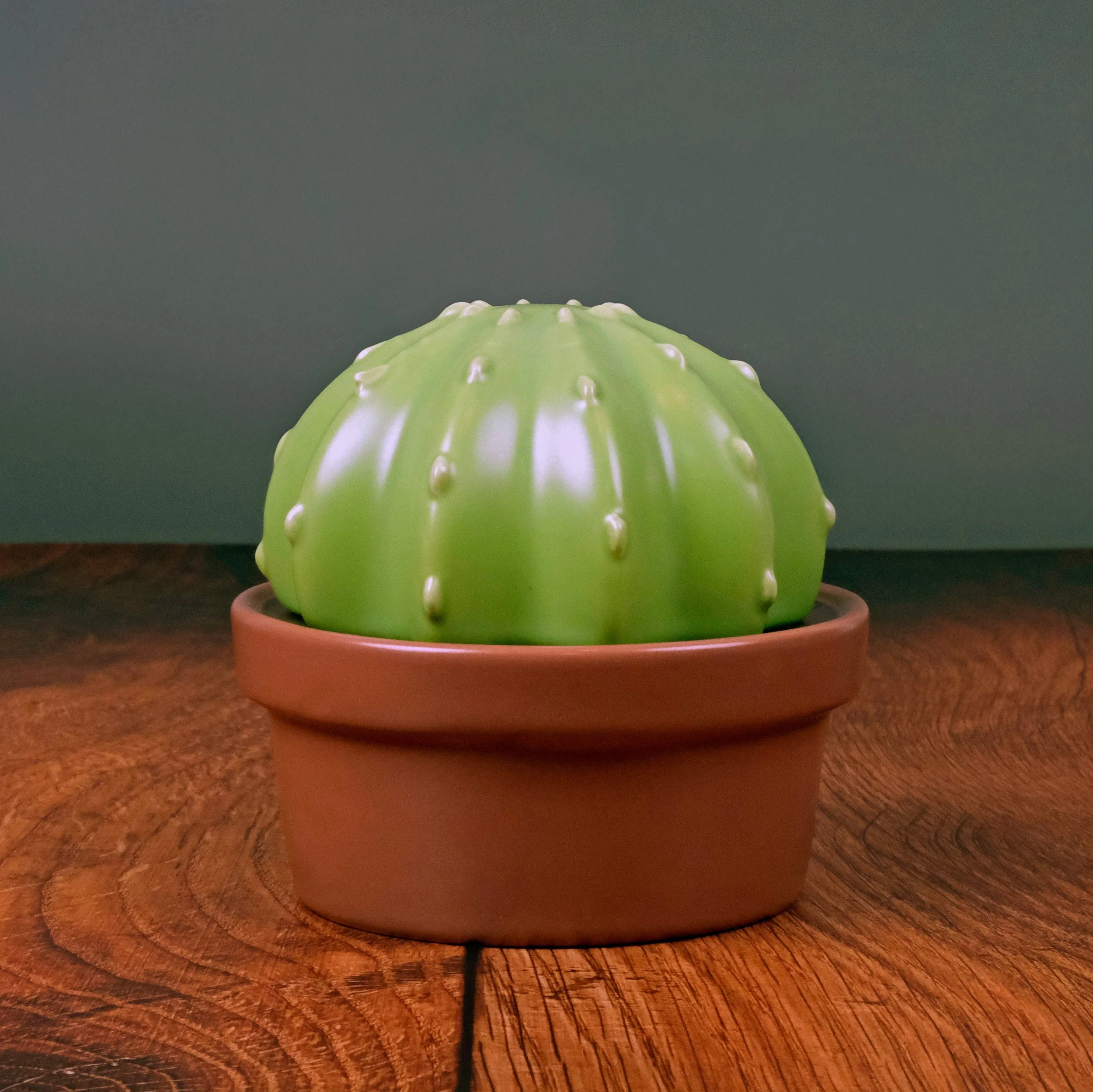 HOUSE PLANT - Image 6