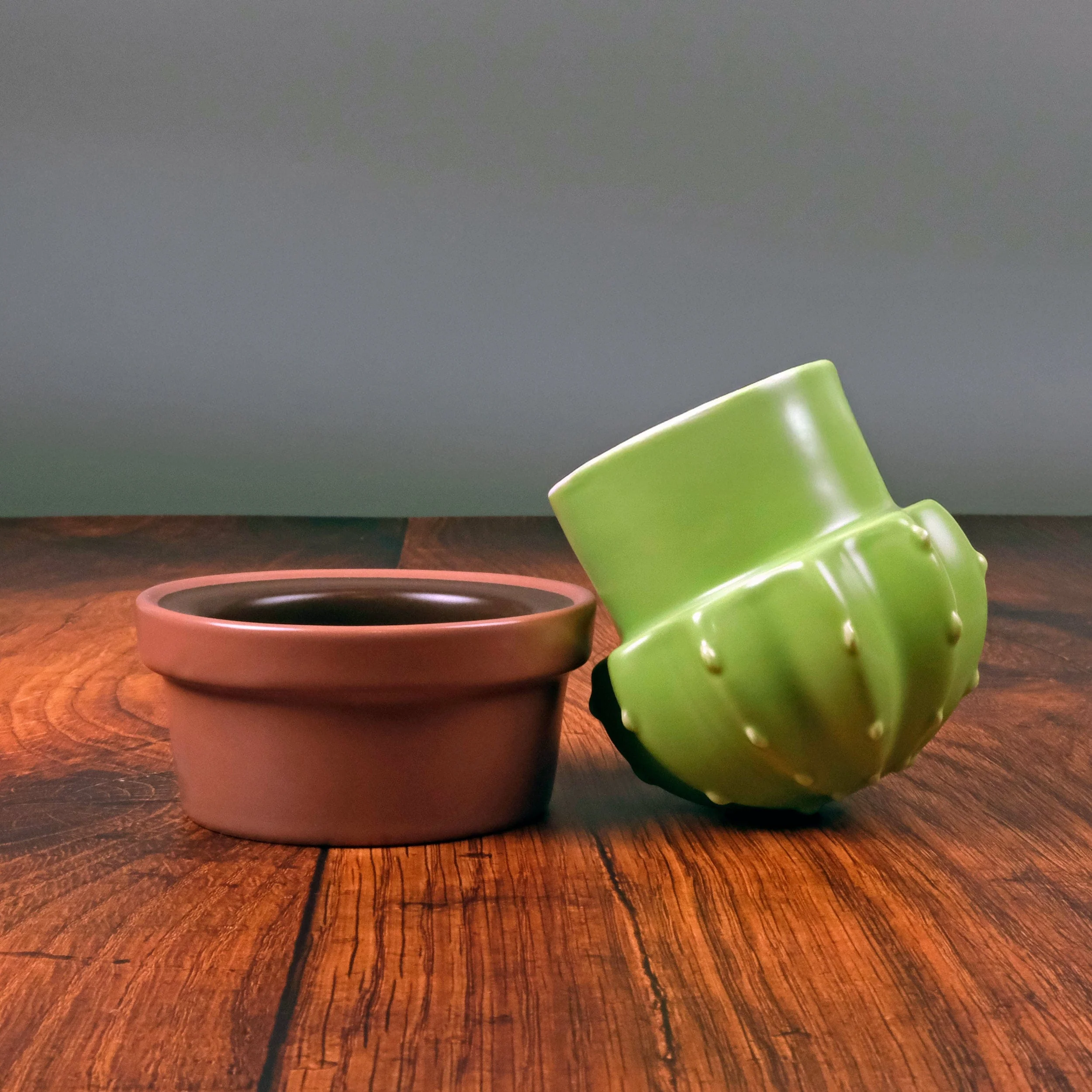 HOUSE PLANT - Image 7