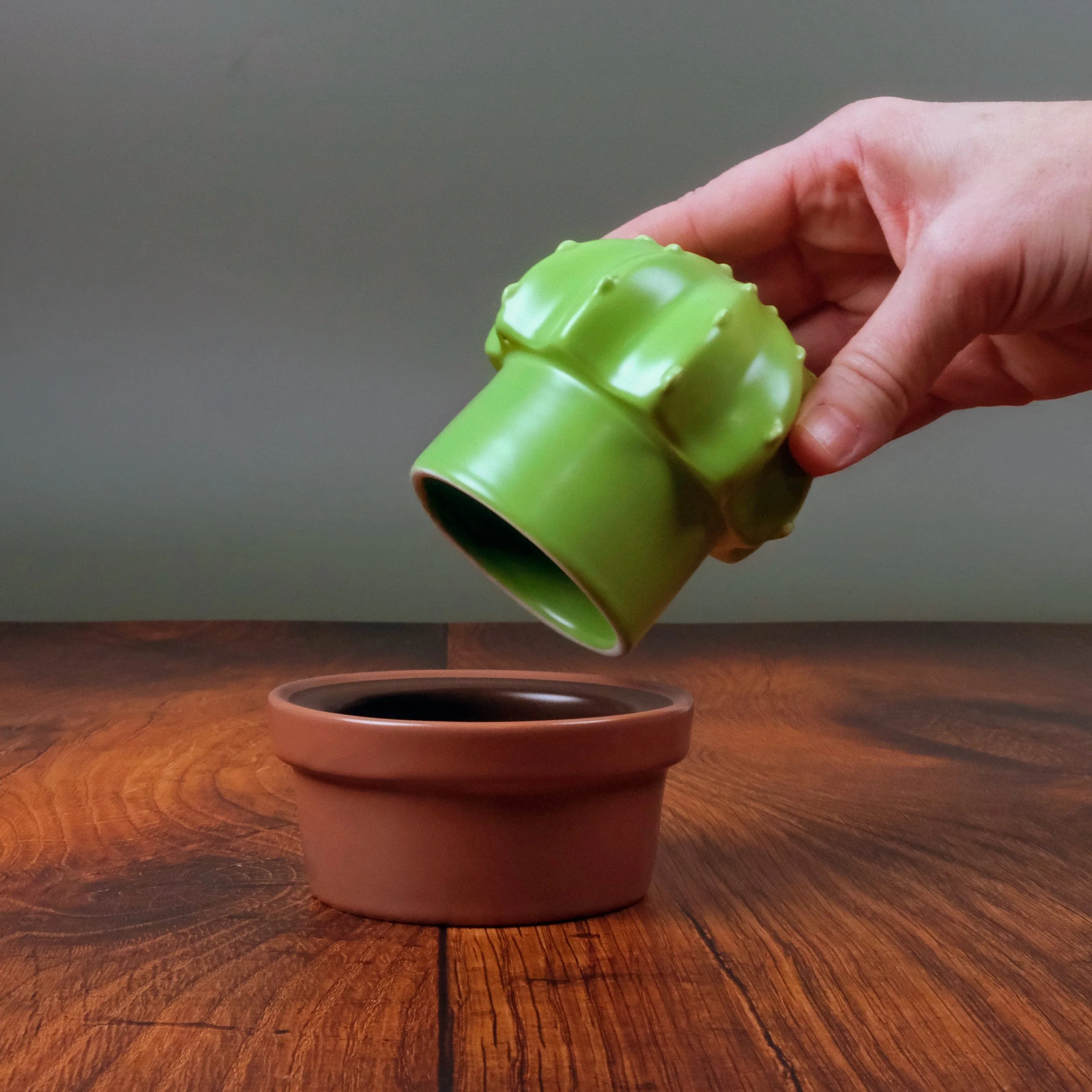 HOUSE PLANT - Image 8