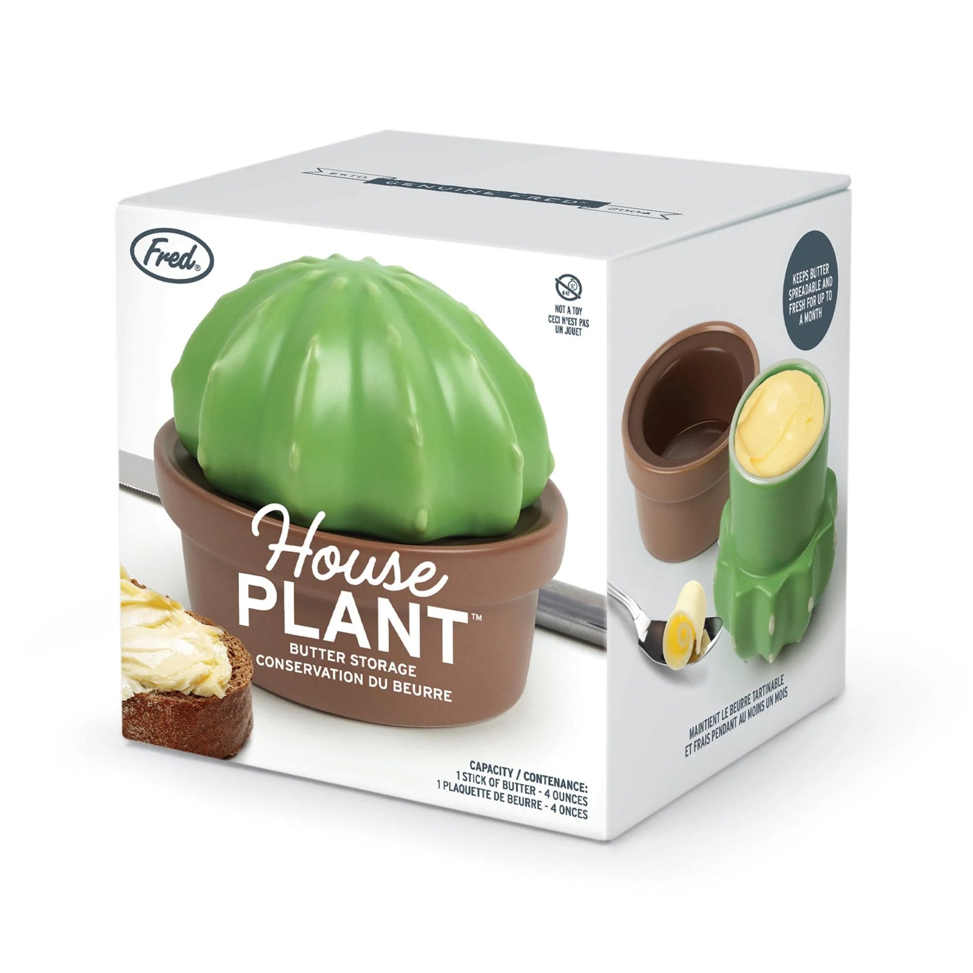 HOUSE PLANT - Image 9