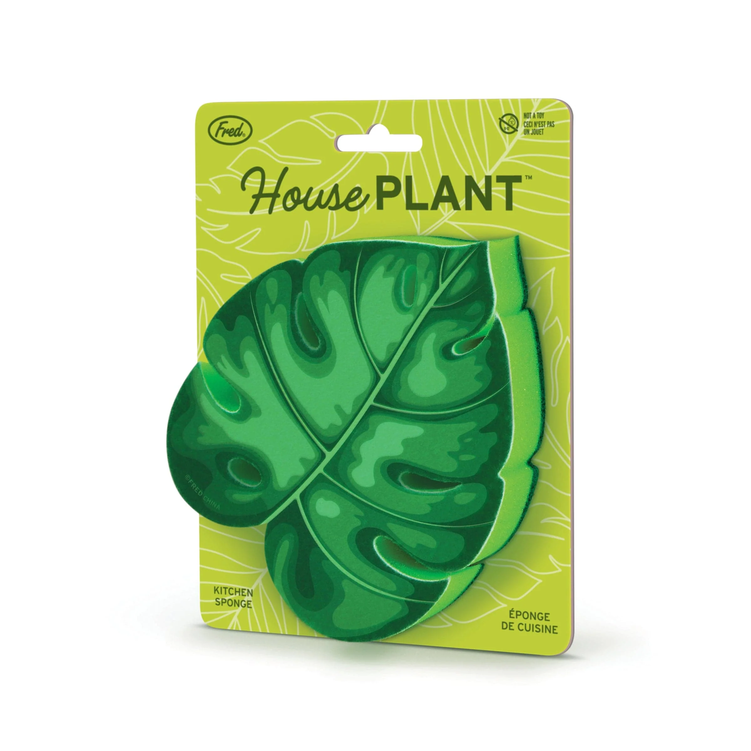 HOUSE PLANT - Image 3