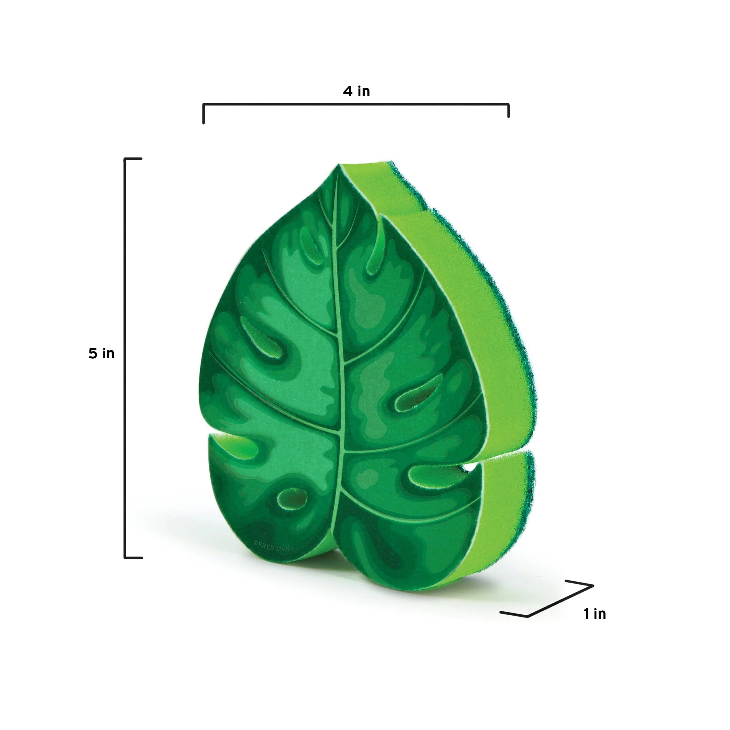 HOUSE PLANT - Image 4