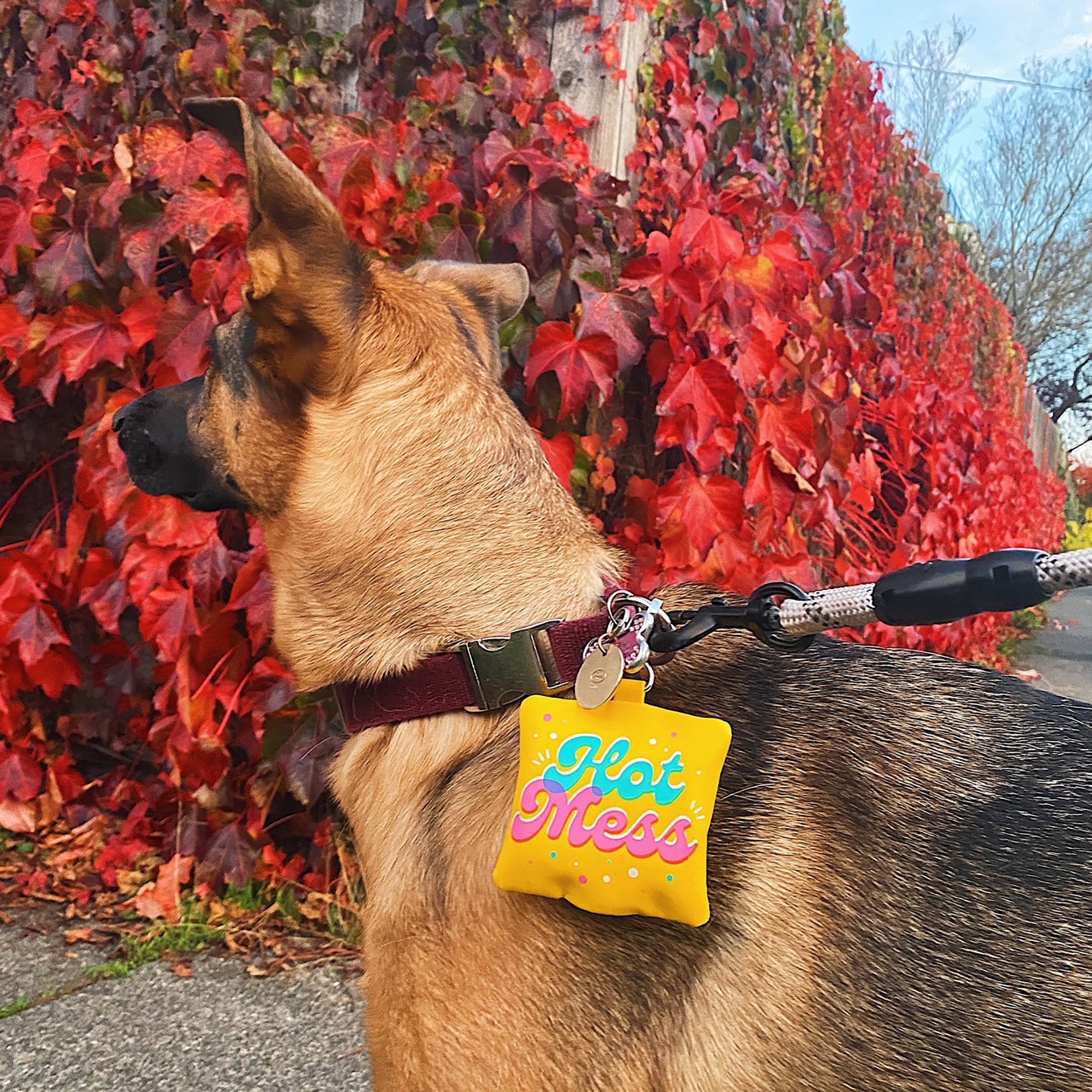 POOP BAG HOLDER: HOT MESS - Image 3
