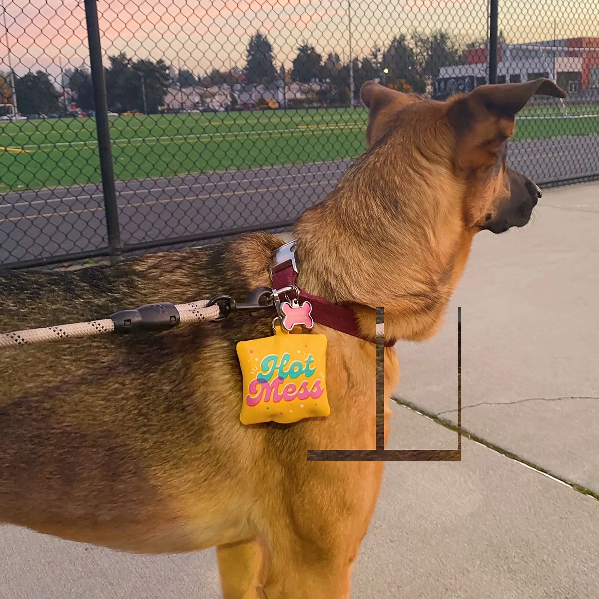 POOP BAG HOLDER: HOT MESS - Image 7