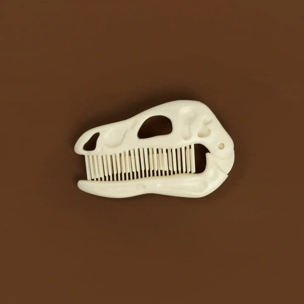 BONEHEAD - Image 3