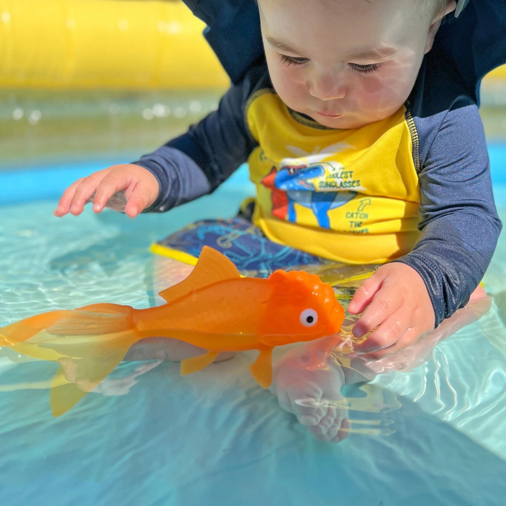 KOI TOY - Image 3