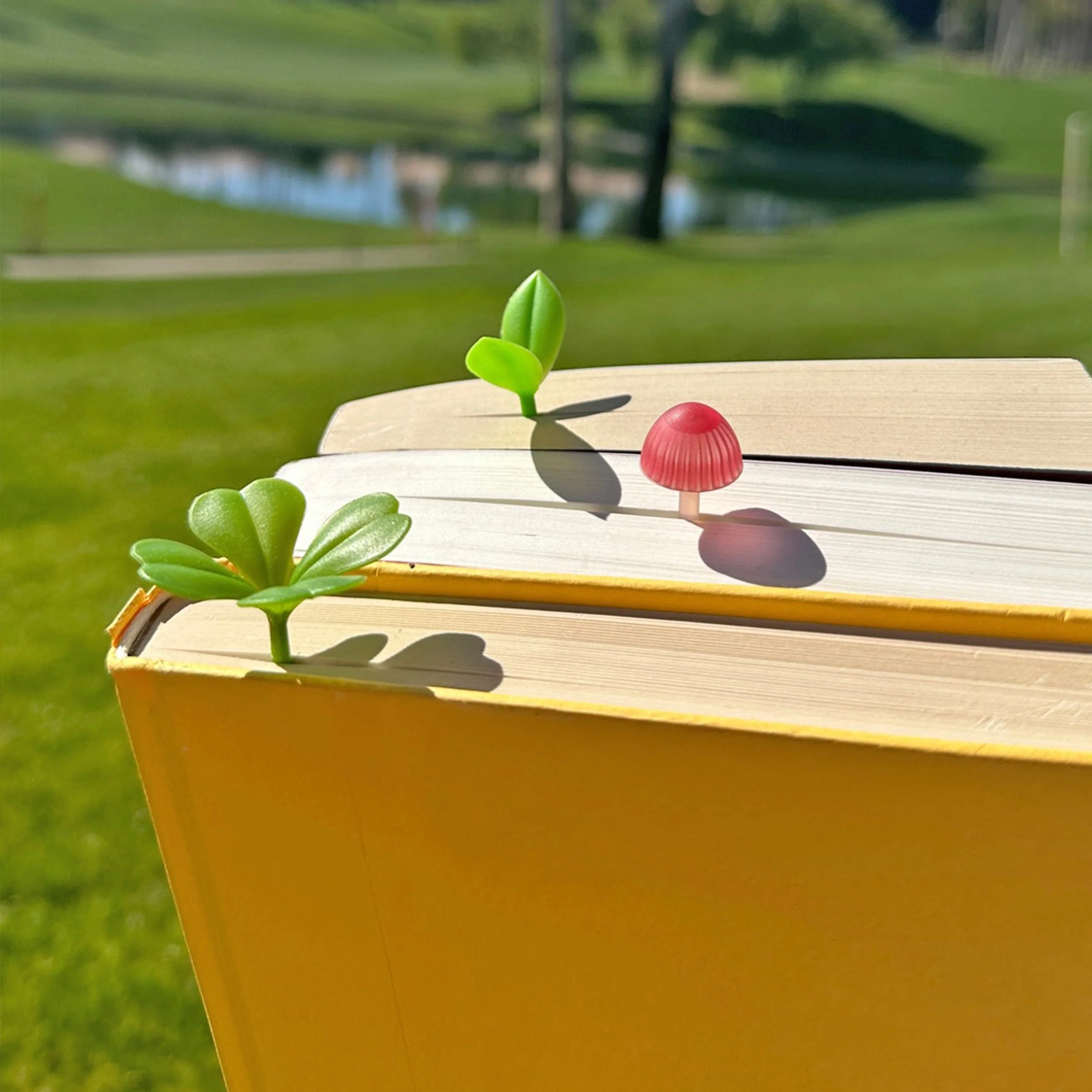 LUCKY SPROUT - Image 5