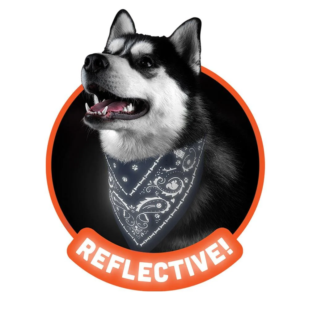 REFLECTIVE DOG BANDANAS - Image 10