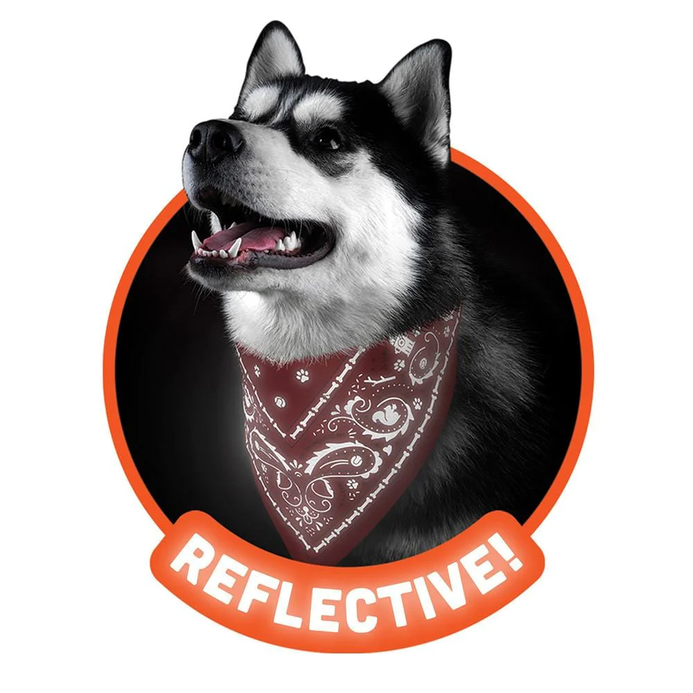 REFLECTIVE DOG BANDANAS - Image 2