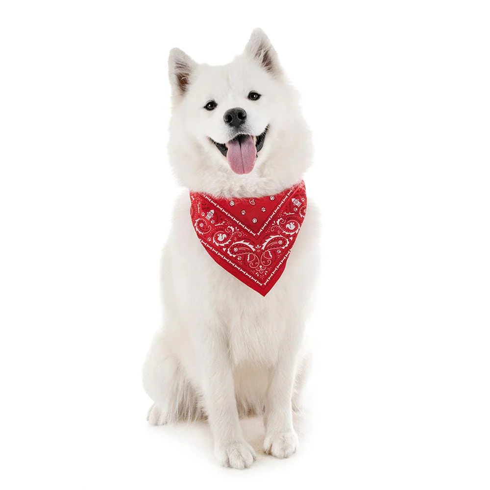REFLECTIVE DOG BANDANAS - Image 6