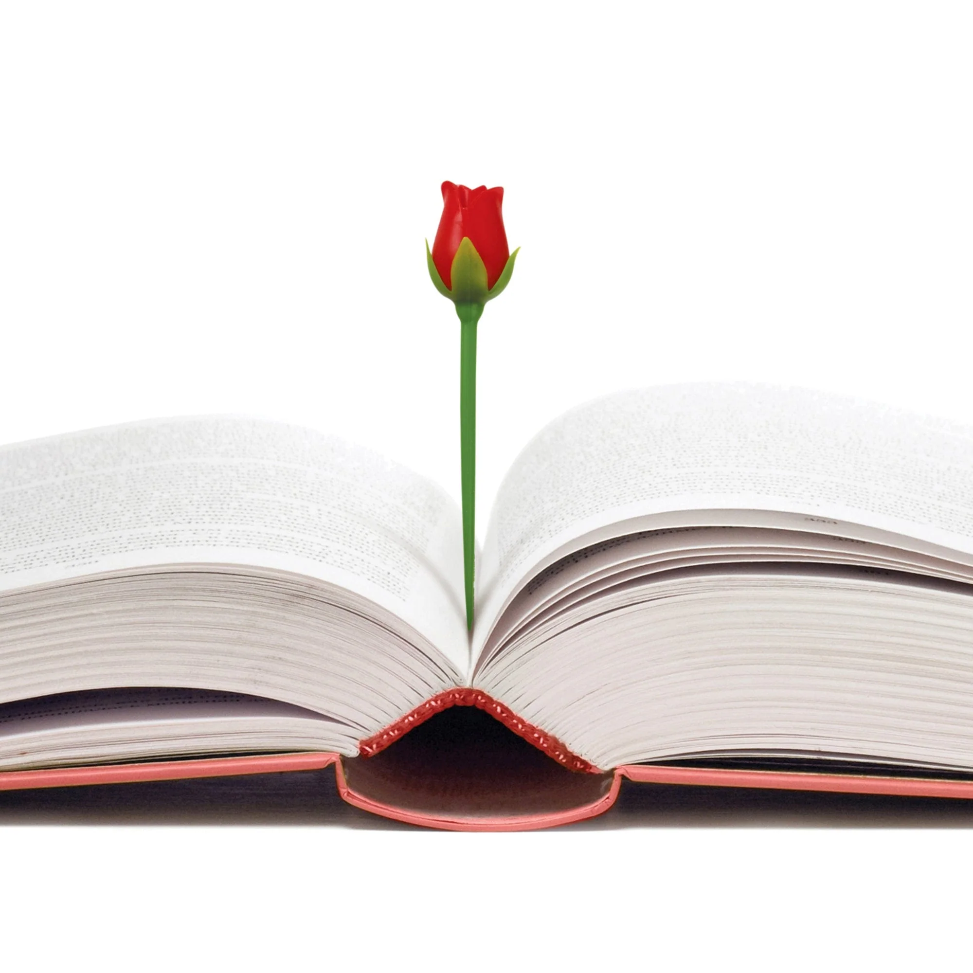 ROSES ARE READ - Image 4