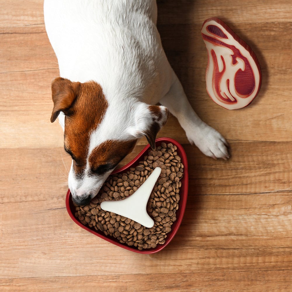 SLOW FOOD - DOG - Image 2
