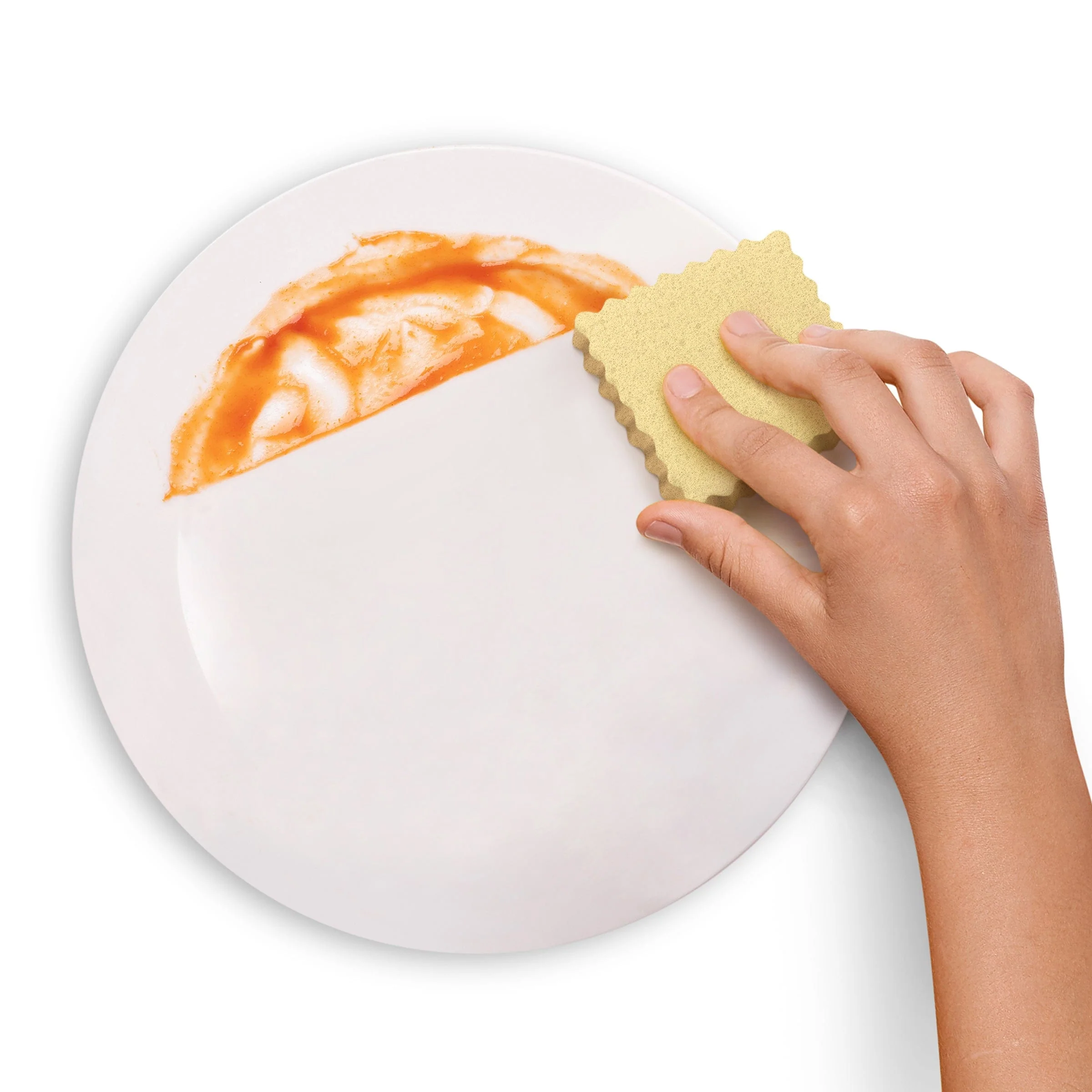 SPONGIOLI - Image 4
