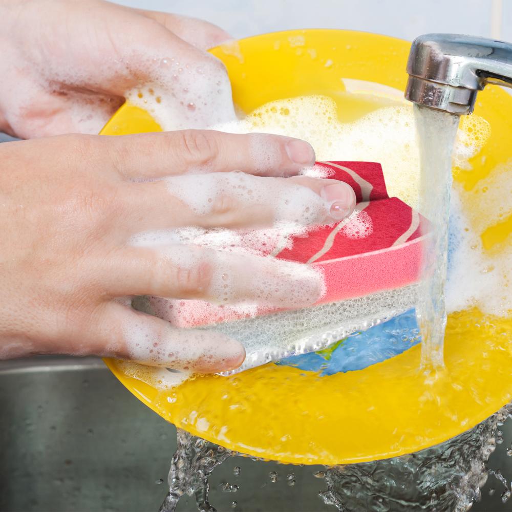 WASHABI SUSHI SPONGES - Image 6