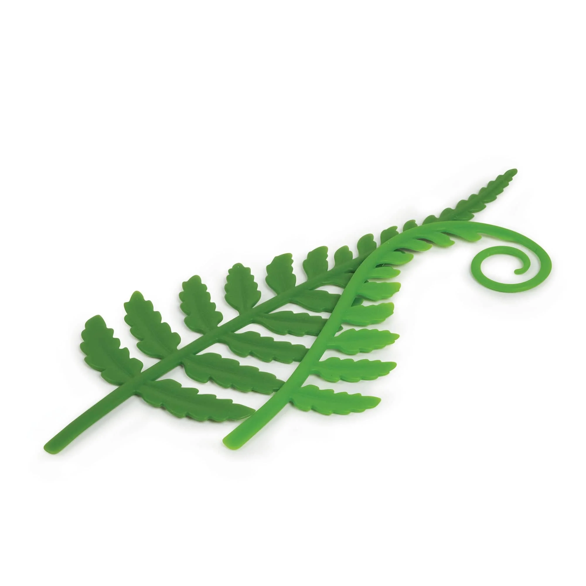 WOODLAND SPROUTS - Image 3